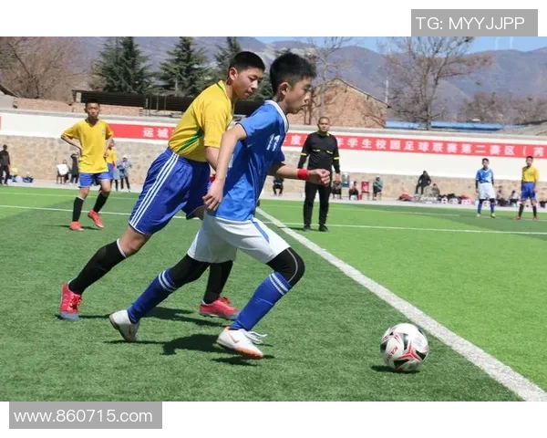 马驹足球：探索青少年足球发展的新路径与未来潜力